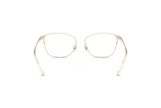 Bagside Coach HC5184 (9430)