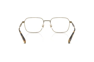 Bagside Coach HC5186 (9333)