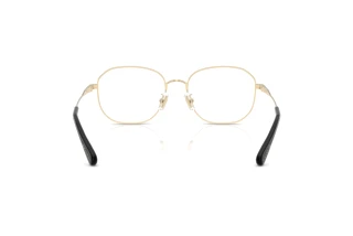 Bagside Coach HC5187D (9005)