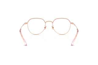 Bagside Coach HC5188TD (9463)