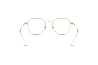 Bagside Coach HC5188TD (9464)