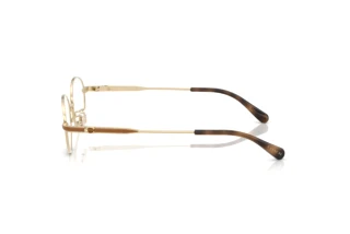 Sidevisning Coach HC5189TD (9005)