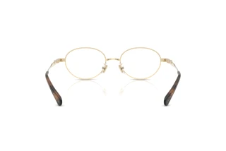 Bagside Coach HC5189TD (9005)