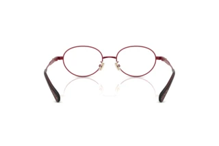 Bagside Coach HC5189TD (9048)