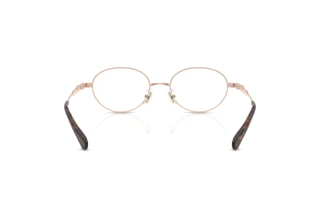 Bagside Coach HC5189TD (9331)