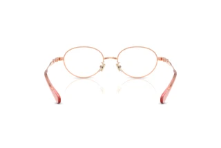 Bagside Coach HC5189TD (9407)