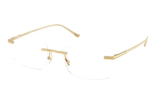 Forfra Coach HC5196TD (9441)