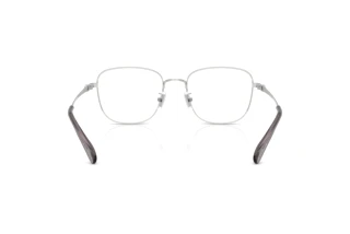 Bagside Coach HC5198TD (9001)