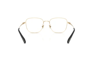 Bagside Coach HC5198TD (9005)