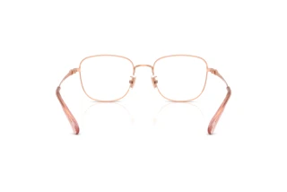 Bagside Coach HC5198TD (9407)