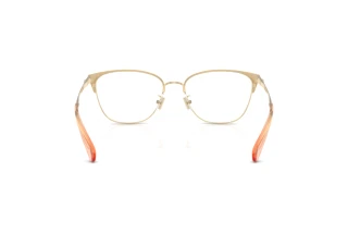 Bagside Coach HC5202 (9505)