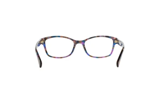 Bagside Coach HC6065 (5288)