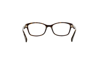 Bagside Coach HC6065 (5291)