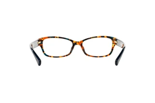 Bagside Coach HC6078 (5337)