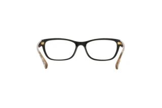 Bagside Coach HC6082 (5353)