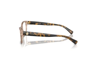 Sidevisning Coach HC6082 (5561)