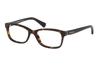 Coach HC6089 5120 Dark Tortoise