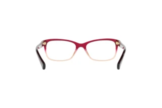 Bagside Coach HC6089 (5484)