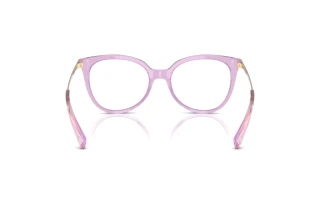 Bagside Coach HC6125 (5400)