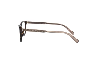 Sidevisning Coach HC6143 (5120)