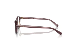 Sidevisning Coach HC6152D (5677)