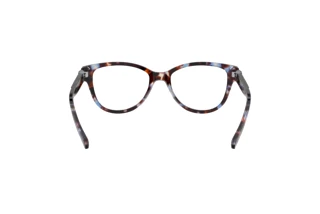 Bagside Coach HC6153 (5613)