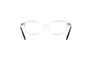 Bagside Coach HC6172 (5641)