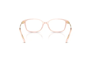 Bagside Coach HC6172 (5668)