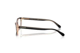 Sidevisning Coach HC6174 (5781)