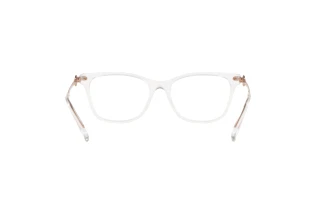 Bagside Coach HC6176 (5111)