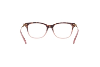 Bagside Coach HC6176 (5650)