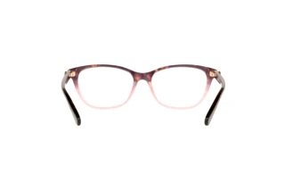 Bagside Coach HC6180 (5650)