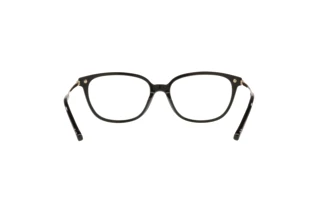 Bagside Coach HC6185 (5002)