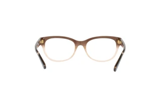 Bagside Coach HC6187 (5678)