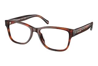 Coach HC6208U 5741 Caramel Tortoise