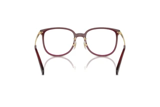 Bagside Coach HC6241D (5824)