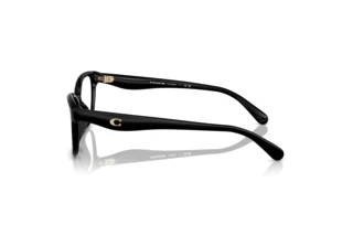 Sidevisning Coach HC6243U (5002)