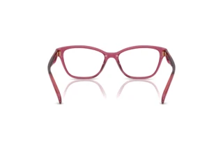 Bagside Coach HC6243U (5824)