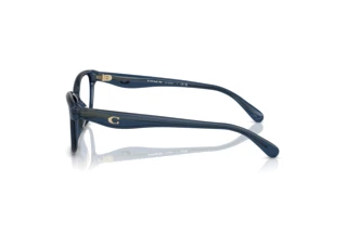 Sidevisning Coach HC6243U (5846)