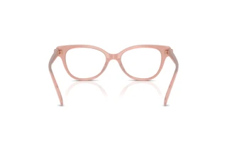 Bagside Coach HC6247U (5839)