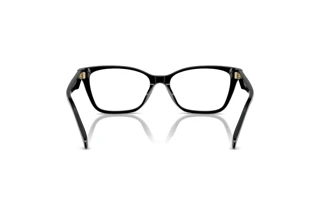 Bagside Coach HC6248U (5002)