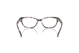 Bagside Coach HC6250U (5843)