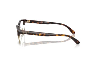 Sidevisning Coach HC6253 (5120)