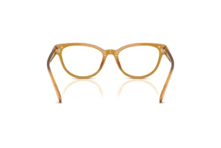 Bagside Coach HC6258U (5774)