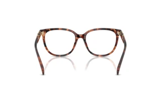 Bagside Coach HC6260U (5590)