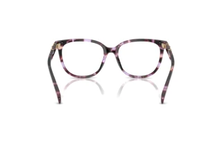 Bagside Coach HC6260U (5612)