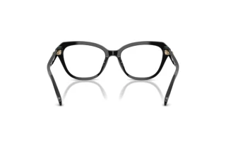 Bagside Coach HC6273U (5002)