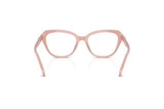 Bagside Coach HC6273U (5839)