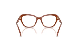 Bagside Coach HC6273U (5841)