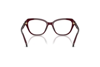 Bagside Coach HC6273U (5915)